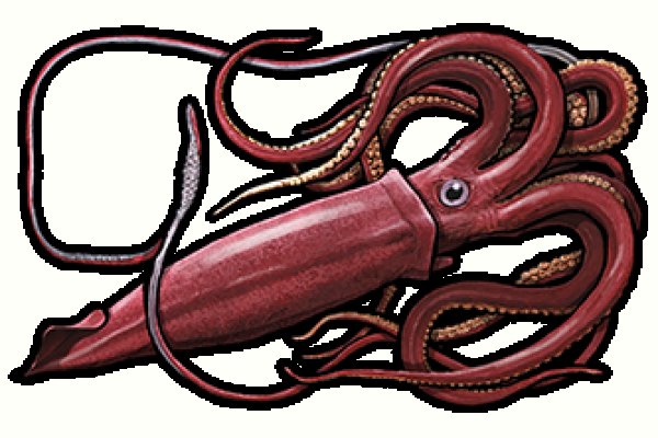 Kraken market3